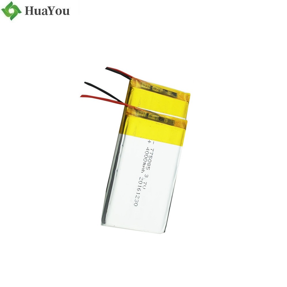 Li-Ion Battery
