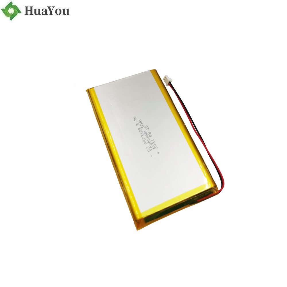 China Lithium-ion Cell Professional Custmoize 10000mAh Battery