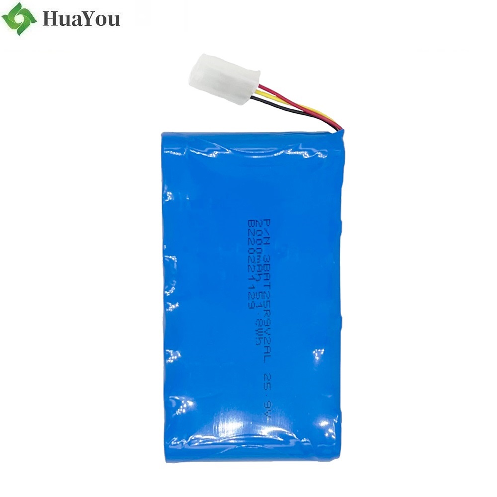 Professional Customized Rechargeable Battery Pack