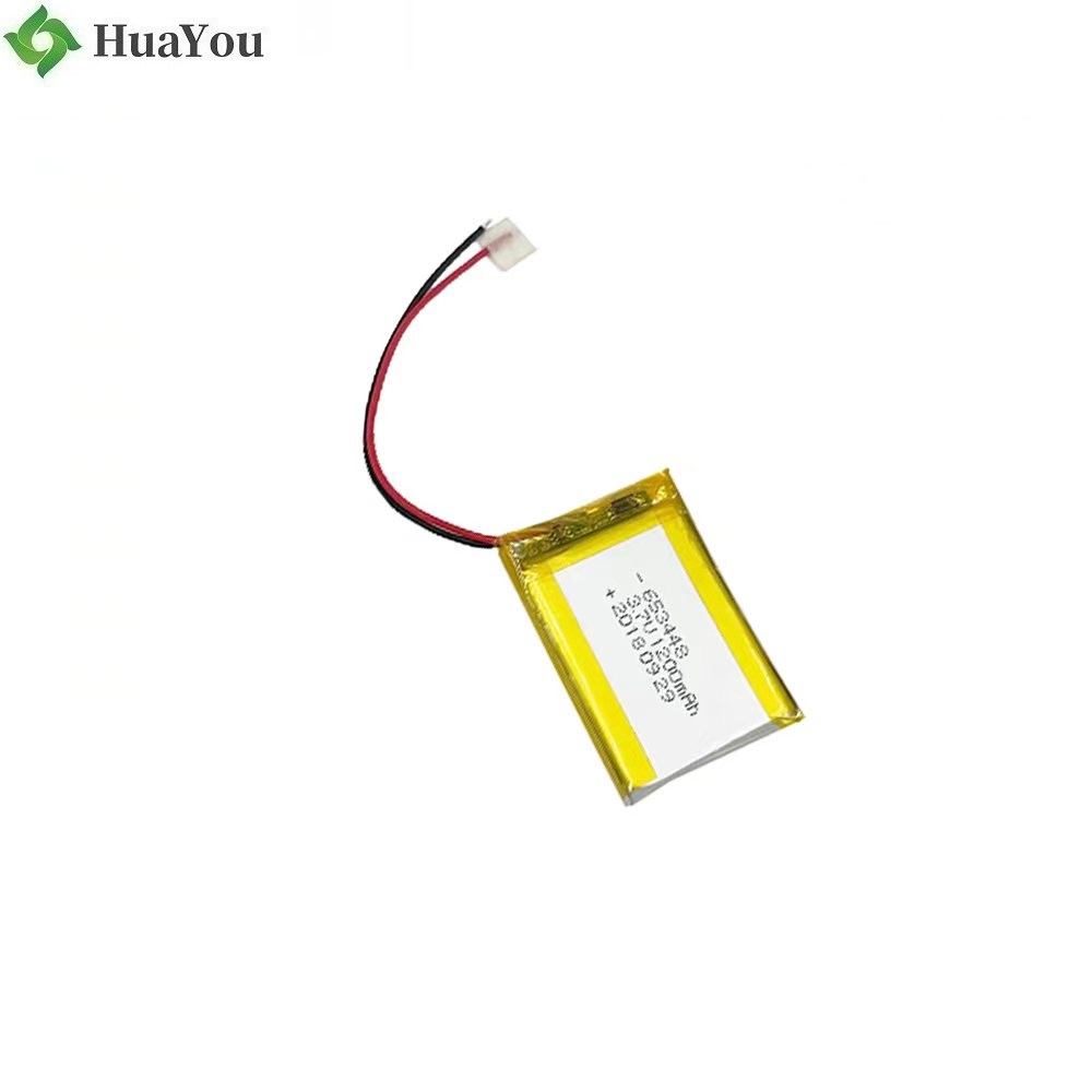 Professional Customized Rechargeable Battery