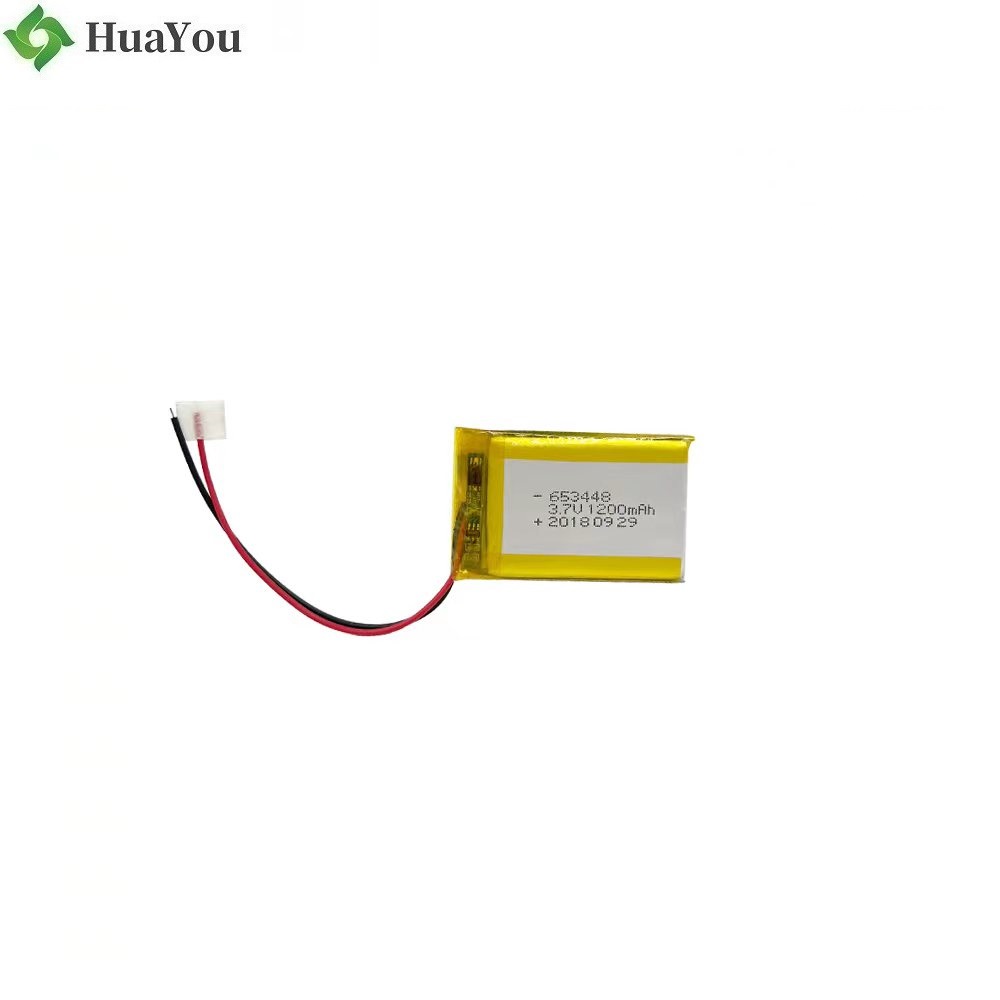 1200mAh Lithium Ion Polymer Battery