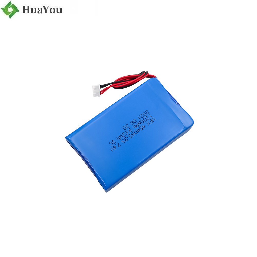 Professional Customized Li-ion Polymer Battery Pack