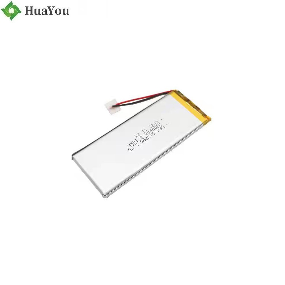 Lithium-ion Cell Manufacturer Supply 2200mAh Battery