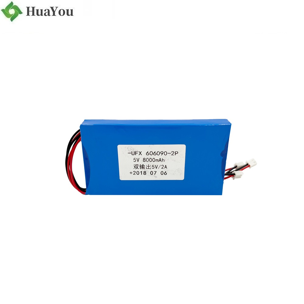 Li-ion Cell Factory OEM Lipo Battery Pack