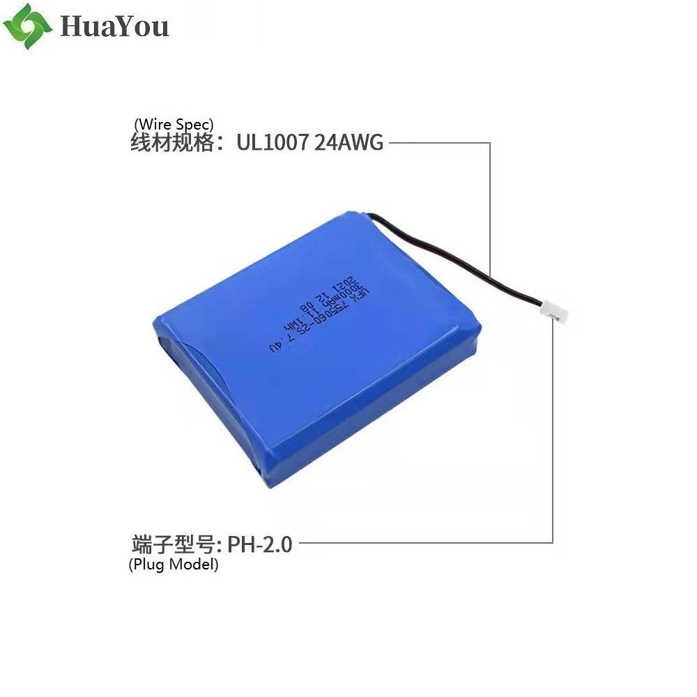 3000mAh  Smart Home Battery